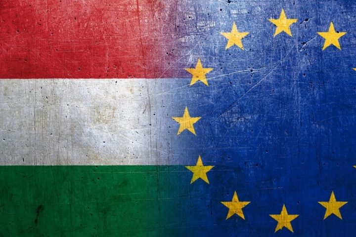 European Parliament Tries to Block Hungary From Council Presidency