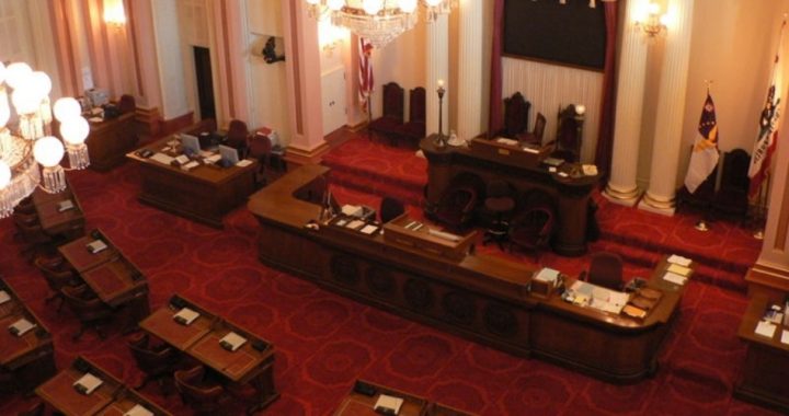 Calif. Senate Votes to Drop Boy Scouts’ Tax Exempt Status