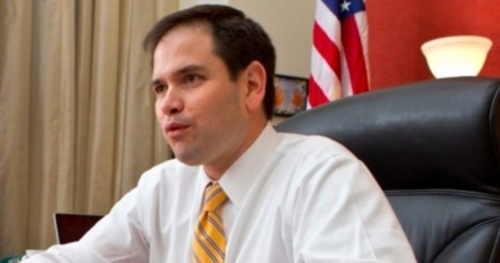 Rubio Touts Constitutional Amendment to Nix ObamaCare Insurance Mandate