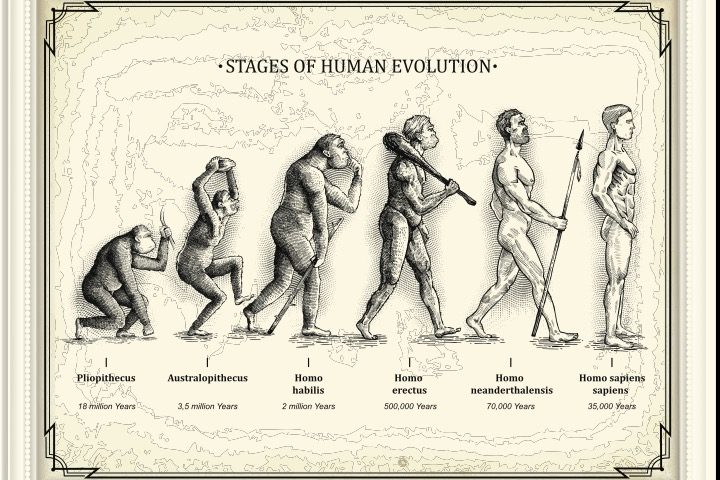 The Theory of Evolution: A False Religion Bringing the West to Destruction