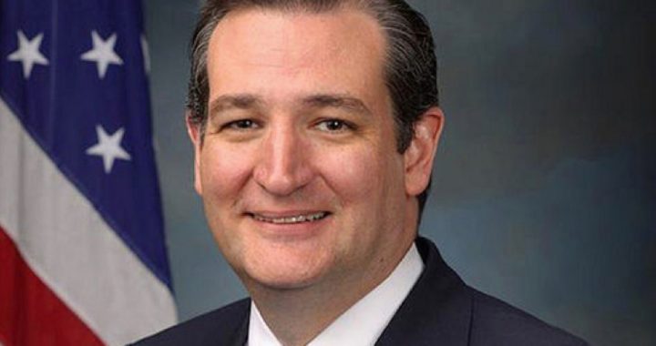 Sen. Ted Cruz Launches Petition Against Gang of Eight