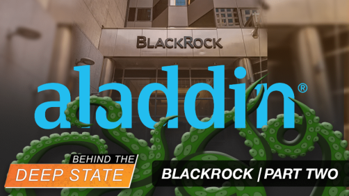 Aladdin: BlackRock’s Shady AI System That Even Its COMPETITORS Use | Part Two