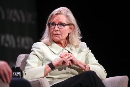 Liz Cheney Complains We Keep Electing Idiots