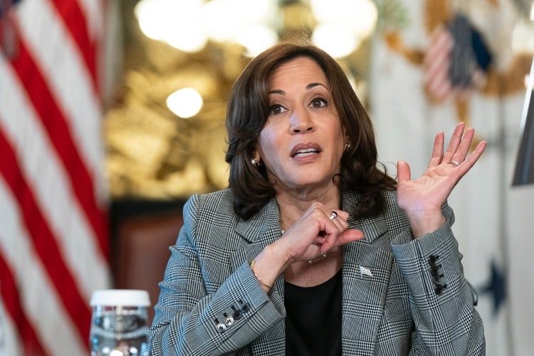 Kamala Harris Touts Population Reduction to Address Climate Change