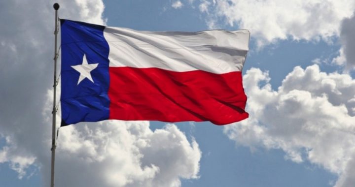 Texas Legislature Sidestep