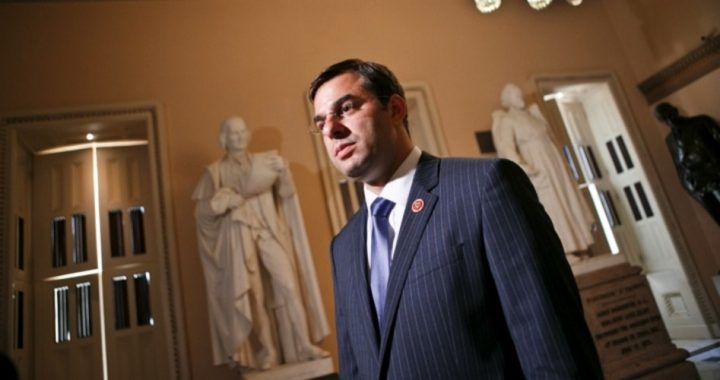 Vote on Amash Amendment Reveals Ruse of Two-Party System