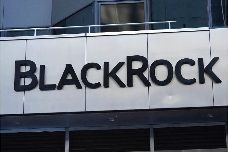 BlackRock: Los Amos del Universo