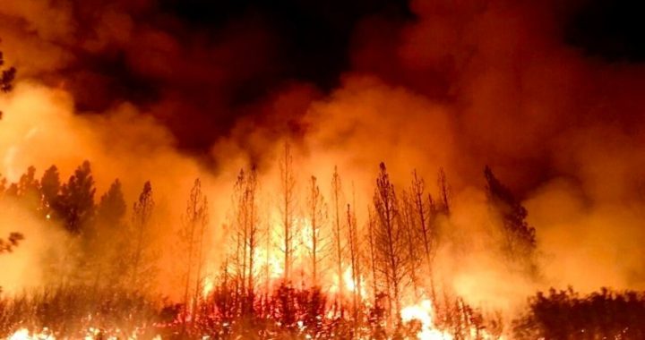 Burning Up the West: Feds, Greens Cause Catastrophic Fires