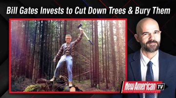 Bill Gates Invests Millions to Cut Down Trees & Bury Them  