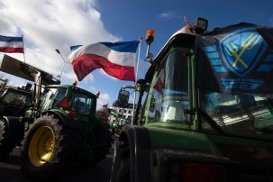 Dutch Elections: Support for Farmers’ Party Falls as Political Mainstream Reasserts Itself