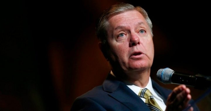 Sen. Graham Will Face Constitutional Challengers in Primary