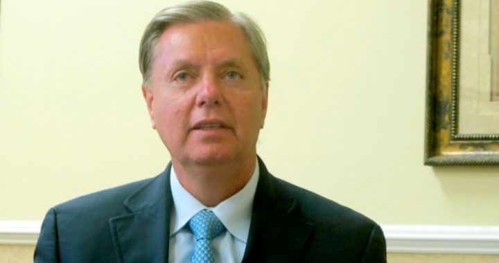 S.C. Tea Party Targets Lindsey Graham; Constitutionalist Challenger Steps Up