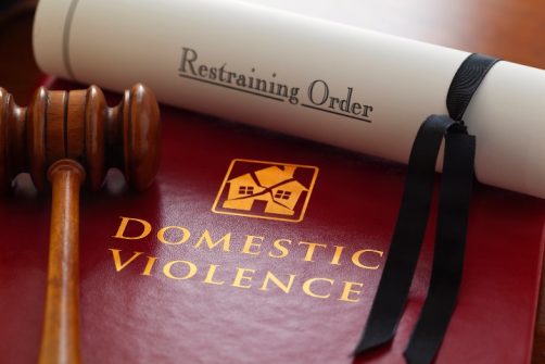 “Domestic Violence Restraining Order” Firearms Restrictions Challenged by Highly Regarded Analyst