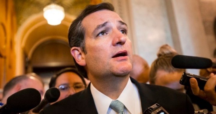 House GOP Winning With Ted Cruz’s “Piecemeal” Strategy