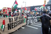 Pro-Gaza Protests in Europe, America