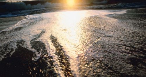 “Stadium Wave” Phenomenon Defeats Climate-changers’ Claims