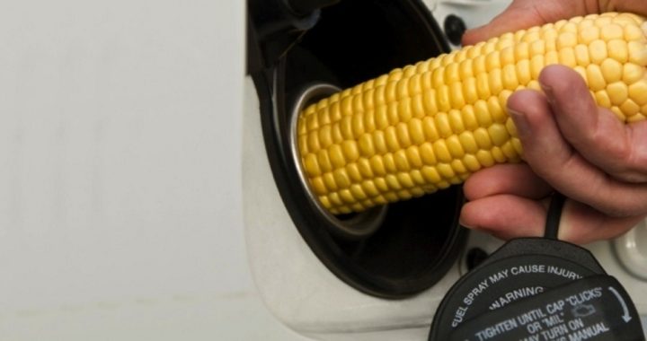 Federal Ethanol Policy: Bad for the Planet, Good for Lobbyists