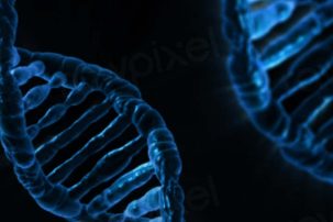 FDA Fails to Address DNA Adulteration Concerns