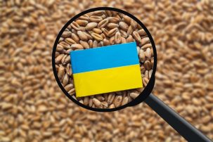 Poland Says Ukrainian EU Membership Threatens EU Farmers