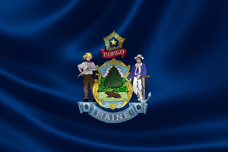 Maine Bill Would Allow State to Confiscate Kids of “Anti-trans” Parents