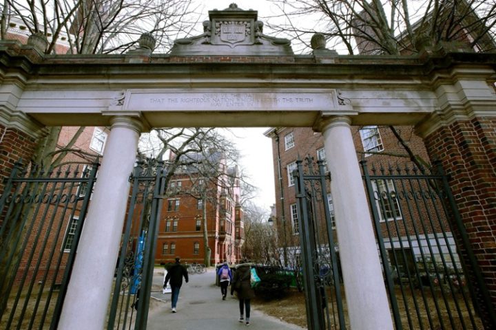 More Plagiarism, Academic Fraud Uncovered at Harvard; Head of “Diversity and Inclusion” Fingered