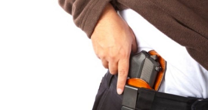 Liberal Ninth Circuit Court Upholds Concealed Carry