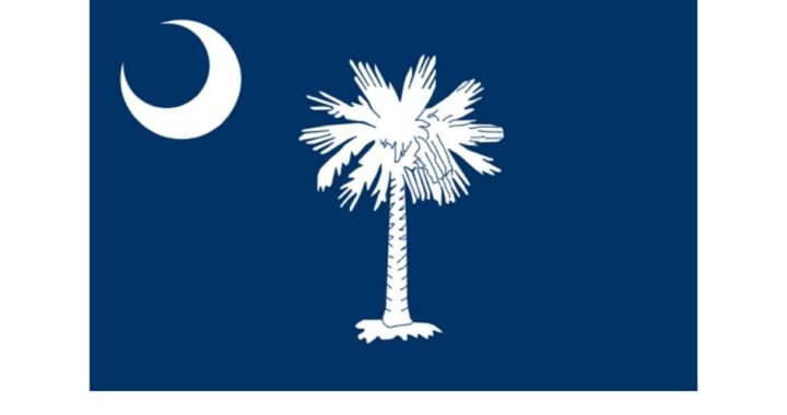 South Carolina’s Fight Over ObamaCare Heats Up in State Senate