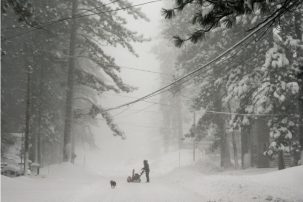 Blizzard Blasts Sierra Nevada Region — Wasn’t Snow Supposed to Be a Thing of the Past?