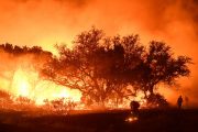 Power Company Heavily Invested in “Renewables” Acknowledges Role in Large Texas Fire