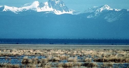 High and Dry in the Klamath Basin