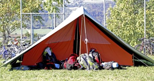 Boy Scouts Drop Washington Troop Over Homosexual Scout Leader