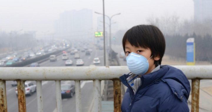 Economic Freedom Leads to Cleaner Air, Study Shows
