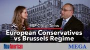 MEP Cristian Terheș: European Conservatives vs Brussels Regime