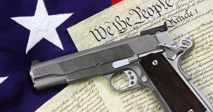 Missouri Gun Rights Amendment Goes to Voters in November