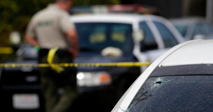 California Shooting: The Missing Element
