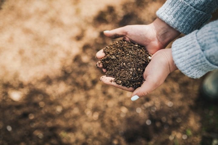 Rhode Island House Passes Bill to Legalize Human Composting