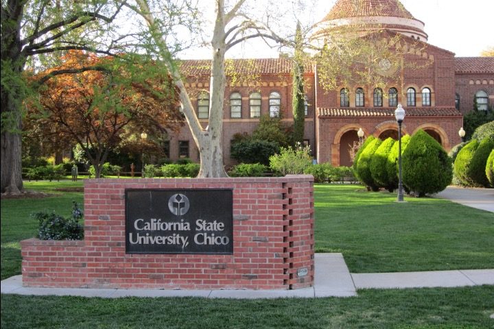 Cal State Prof Wrote Castration Porn Cited by WPATH