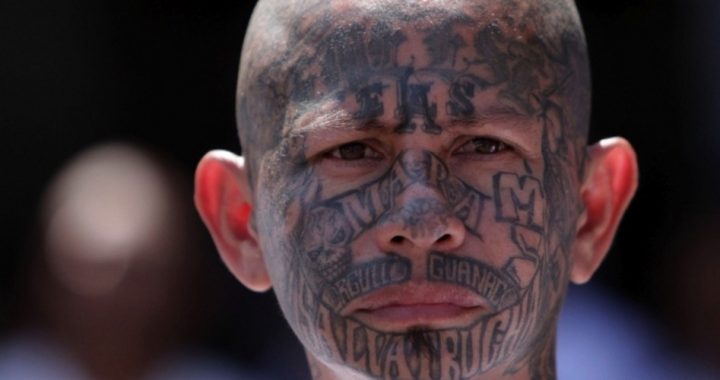 Flood of Illegal Immigrants Now Includes Gang Members