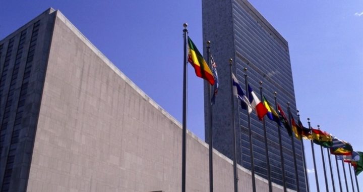 UN to Set Up a U.S.-based Disarmament Specialist