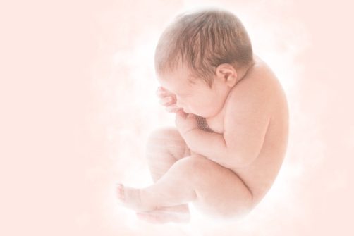 Arizona Supreme Court Approves Term “Unborn Human Being” for Abortion Document