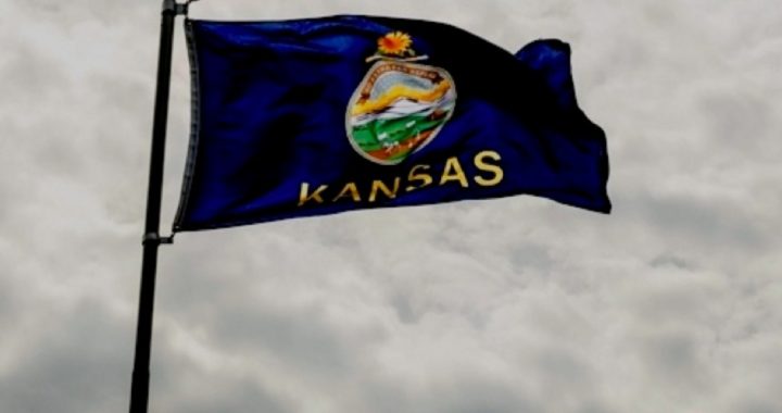 Brady Center Launches Legal Attack on Kansas Gun Grab Nullification