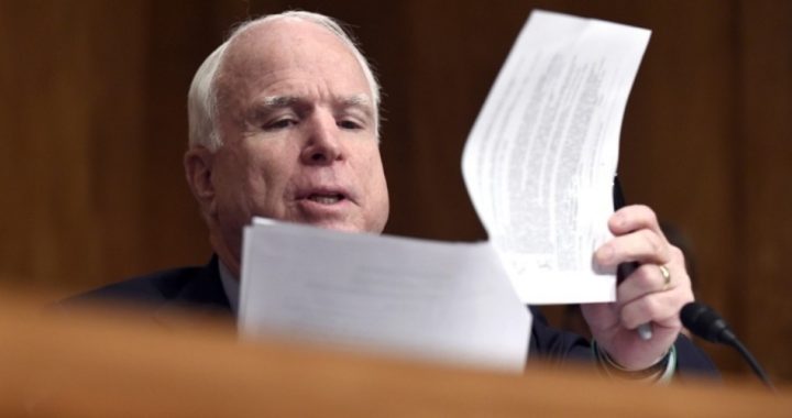 McCain Pushes “Immigration Reform”; Ron Paul Says Most “Miss the Point”