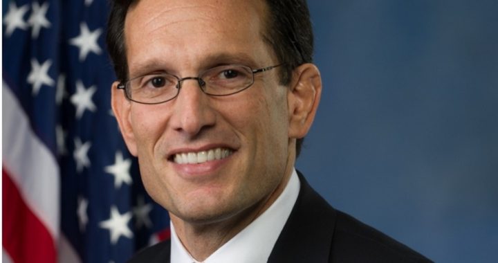 Cantor, Toppled in Primary, Didn’t Fall From Hunger