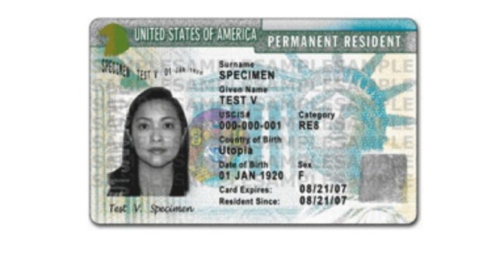 Immigration Services to Print Millions More Green Cards for Aliens