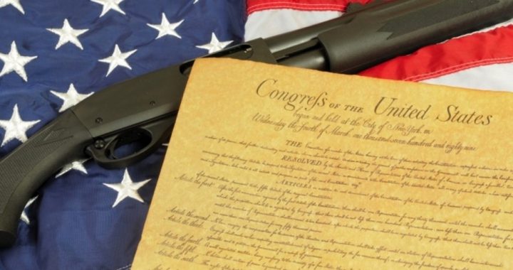 States Assert Sovereignty in Defense of Second Amendment