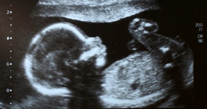 Pro-life Amendment Passes in Tennessee