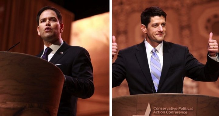 Rubio, Ryan Working on ObamaCare Alternative, Hoping for 2015 Vote