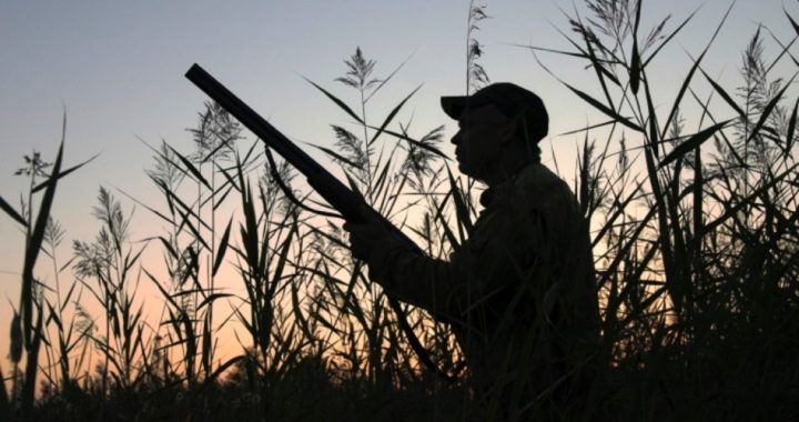 Lame-duck GOP House Approves Tax Hike on Duck Hunters