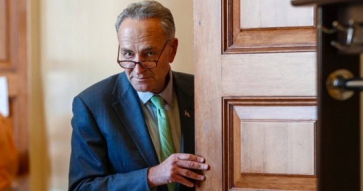 Now Even Schumer Regrets Passing ObamaCare