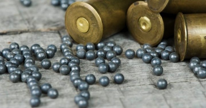 Court Rejects Attempt to “Regulate” Bullets & Shot
